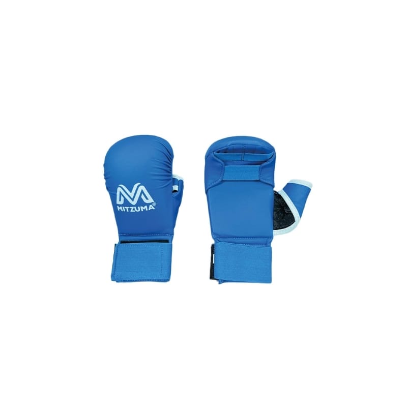 Mitzuma Karate Mitt